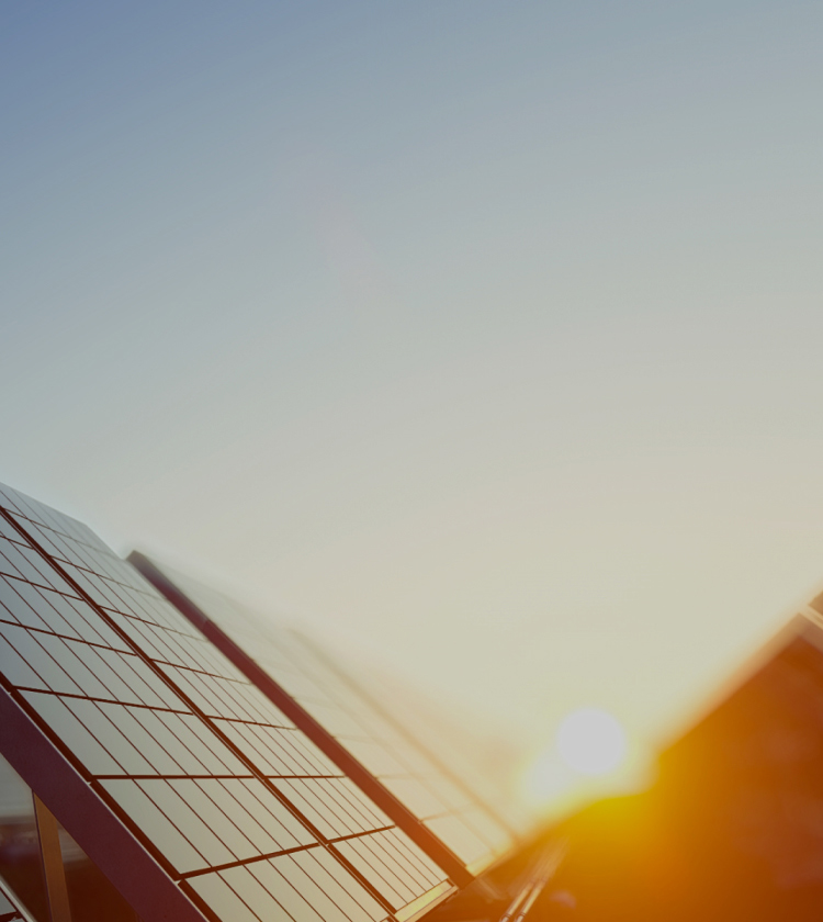 ASTRONERGY solar panel